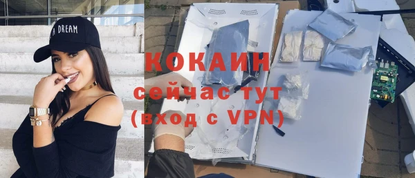 ALPHA PVP Ельня