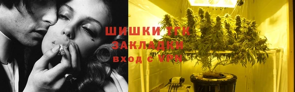 сатива Елизово