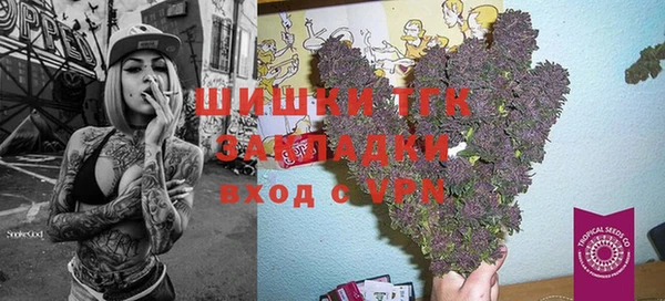 сатива Елизово