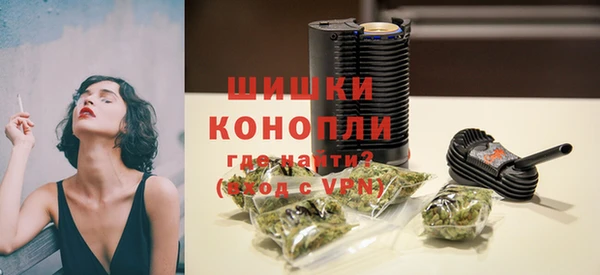 сатива Елизово