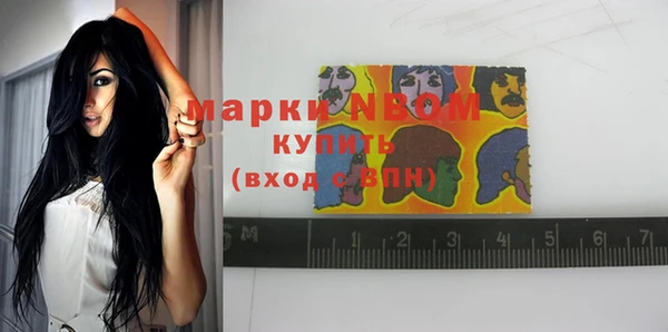 сатива Елизово