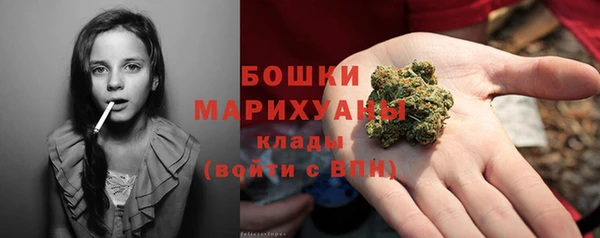 МДПВ Елабуга