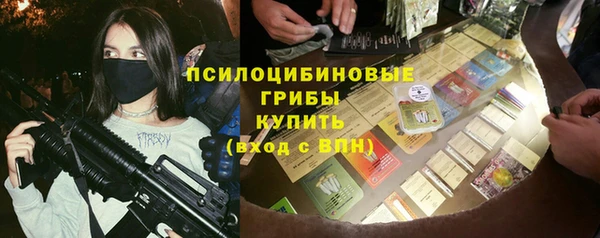 МДПВ Елабуга