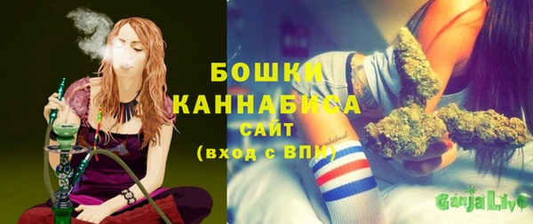 МДПВ Елабуга