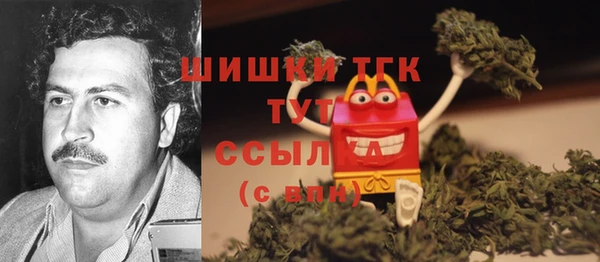 МДПВ Елабуга