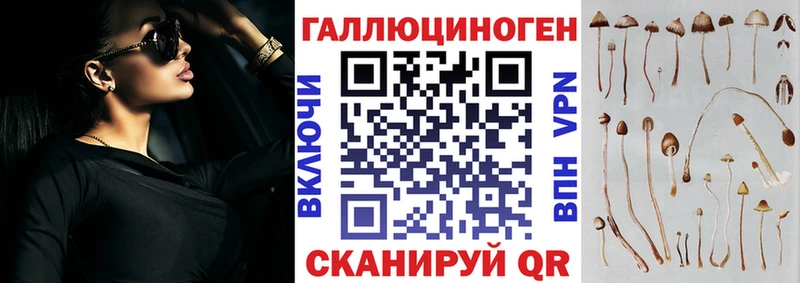 Псилоцибиновые грибы Cubensis  Учалы 