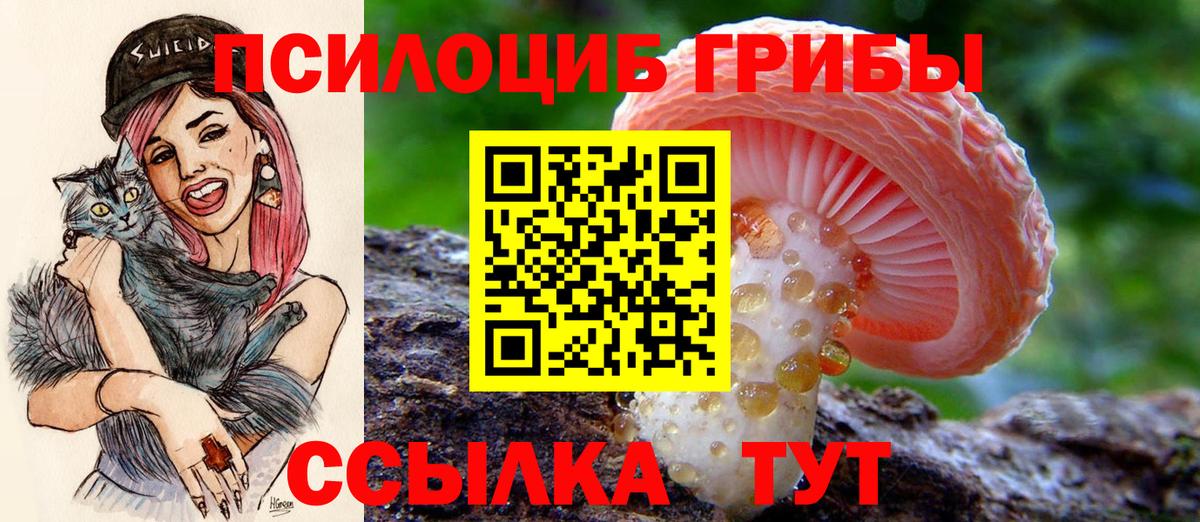 Галлюциногенные грибы прущие грибы  Вход с VPN  Учалы 